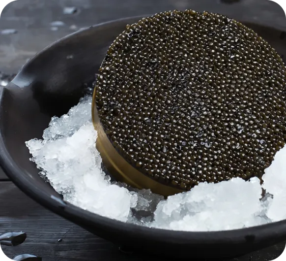 Jar of caviar on ice