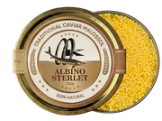 albino sterlet caviar